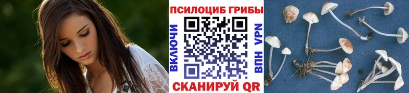 Галлюциногенные грибы GOLDEN TEACHER  Лыткарино 