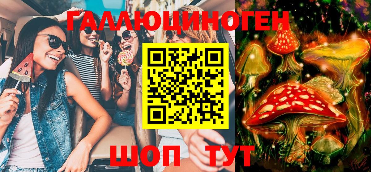 Псилоцибиновые грибы Psilocybe Лыткарино