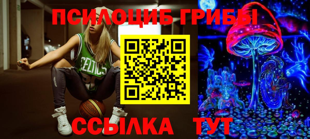 Псилоцибиновые грибы MAGIC MUSHROOMS  Вход с VPN  Лыткарино  Галлюциногенные грибы Psilocybine cubensis 